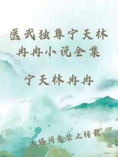 醫(yī)武獨(dú)尊寧天林冉冉小說全集